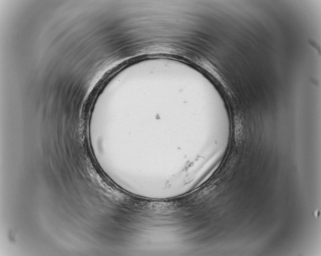 X0000102501116200808291705