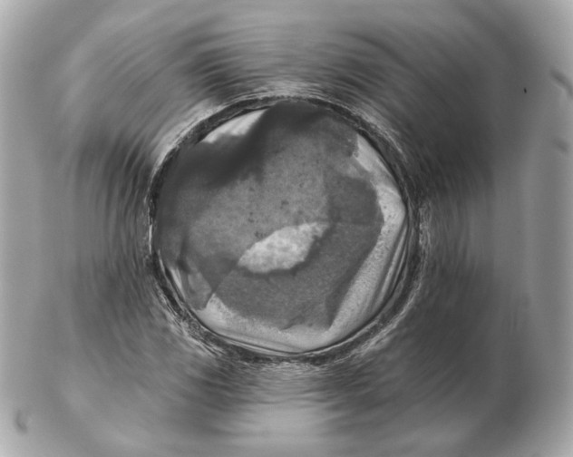 X0000102501117200808291705