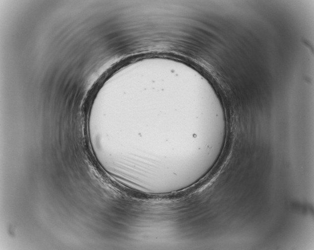 X0000102501118200808291705