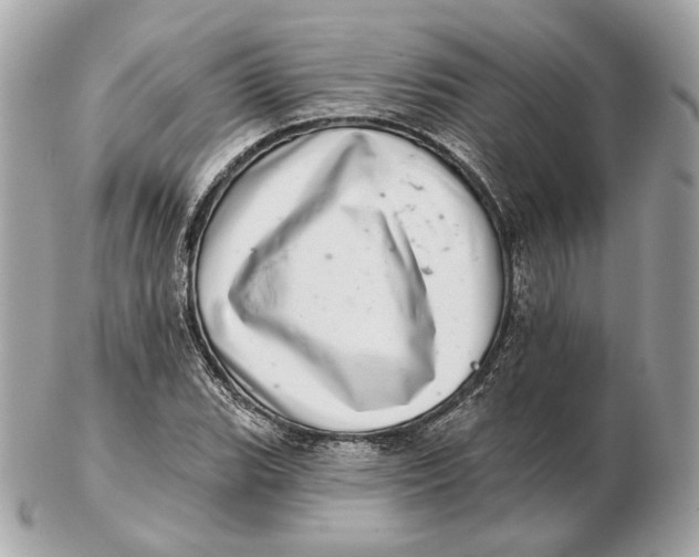 X0000102501119200808291705