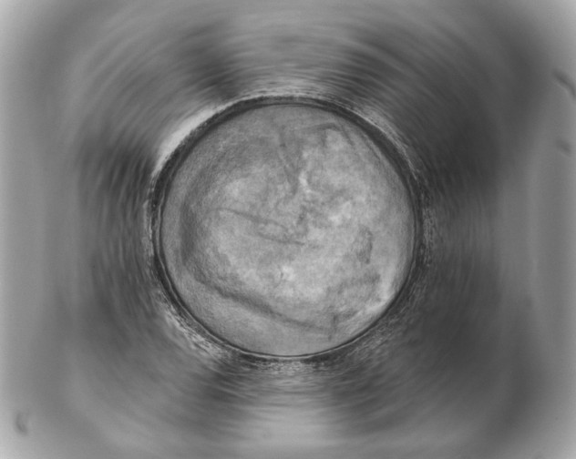 X0000102501120200808291705