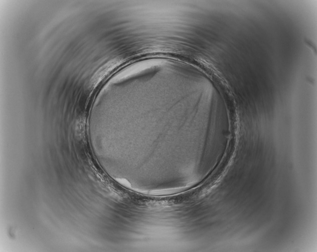 X0000102501121200808291705