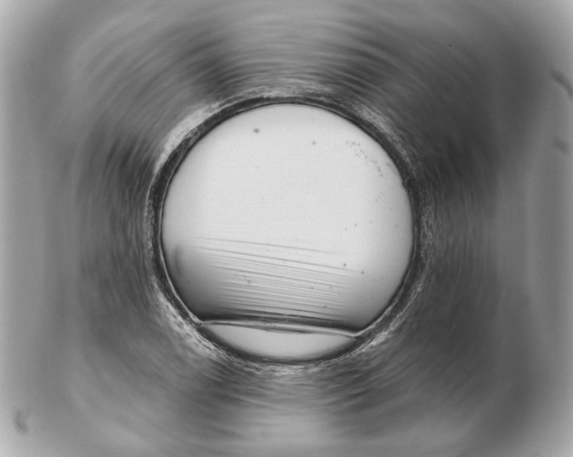 X0000102501122200808291705