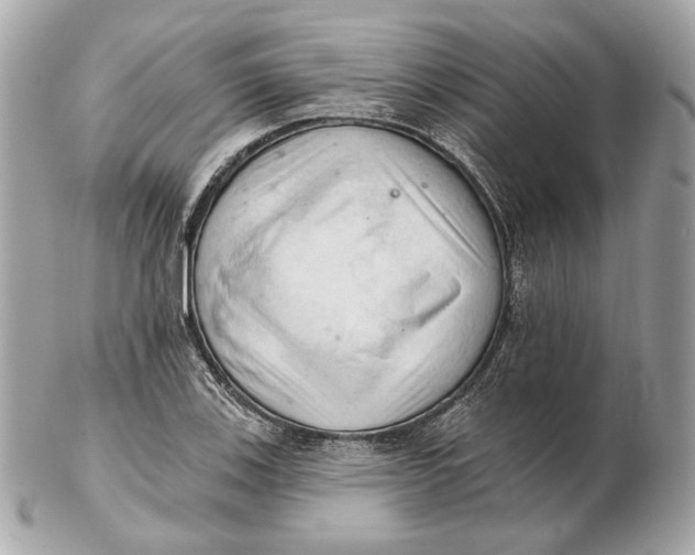 X0000102501123200808291705