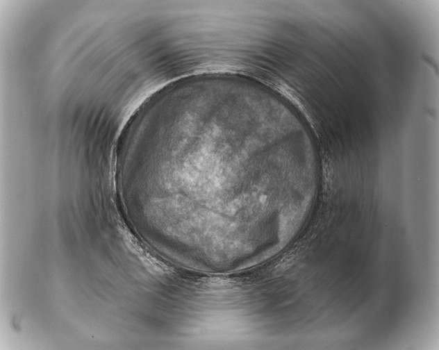 X0000102501124200808291705