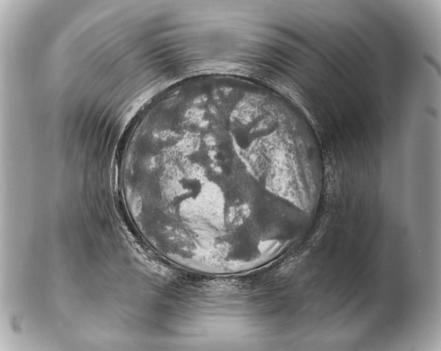 X0000102501125200808291705