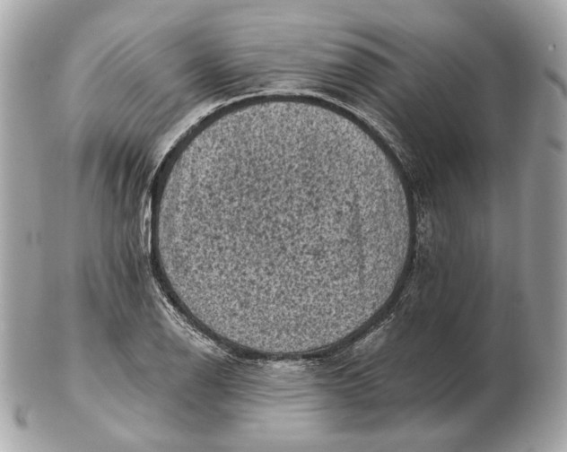 X0000102501126200808291706