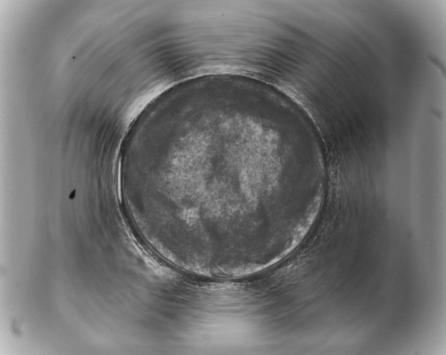 X0000102501127200808291706