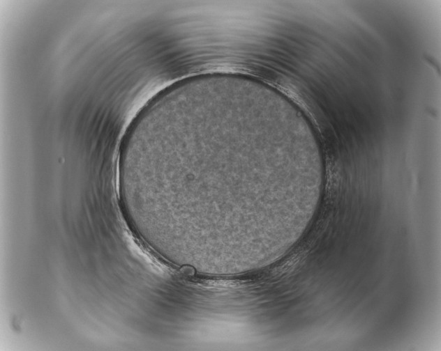 X0000102501132200808291706