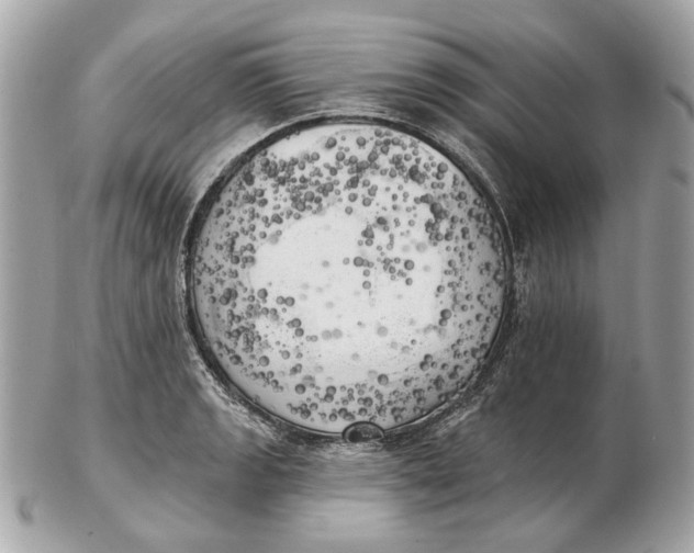 X0000102501133200808291706