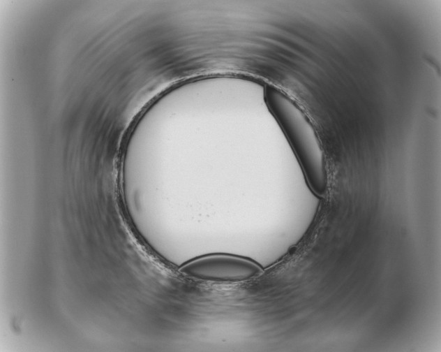 X0000102501134200808291706