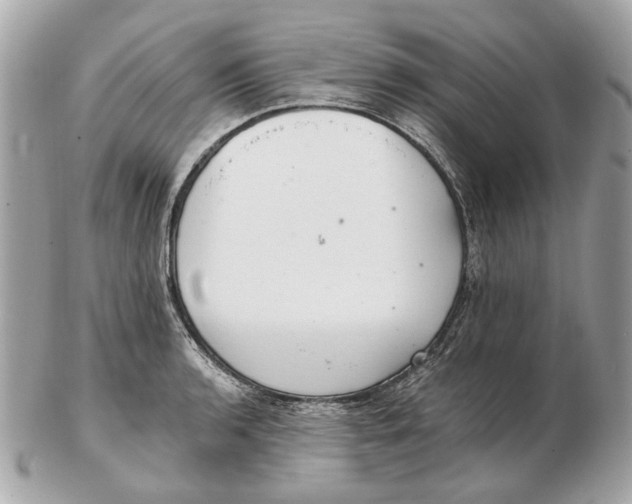 X0000102501136200808291706