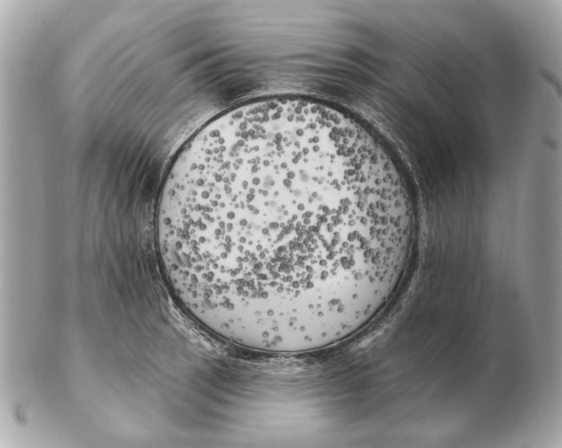 X0000102501137200808291706