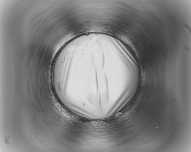 X0000102501138200808291706