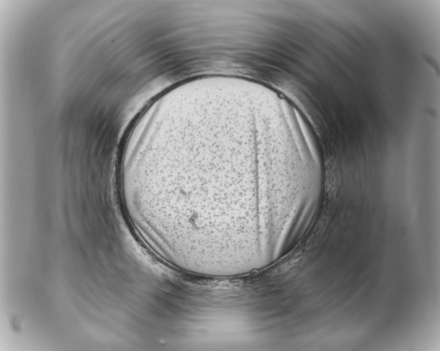 X0000102501139200808291706