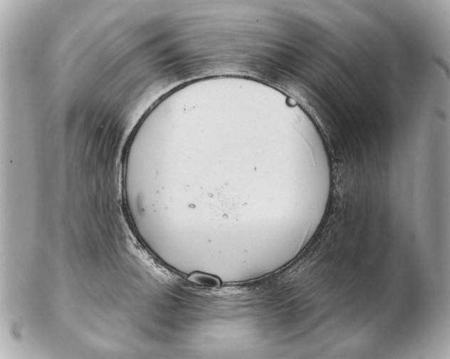 X0000102501140200808291706