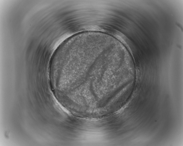 X0000102501141200808291706