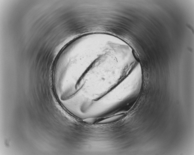 X0000102501142200808291706