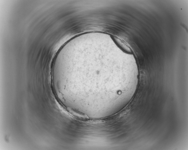 X0000102501143200808291706