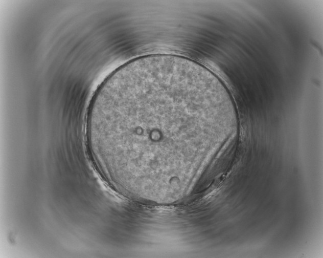 X0000102501144200808291706