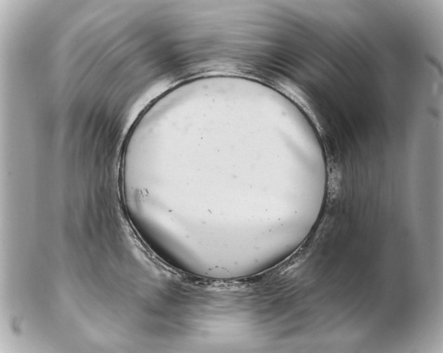 X0000102501146200808291706