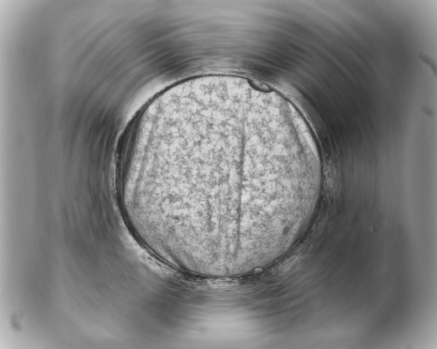 X0000102501147200808291706