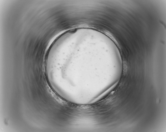 X0000102501148200808291706