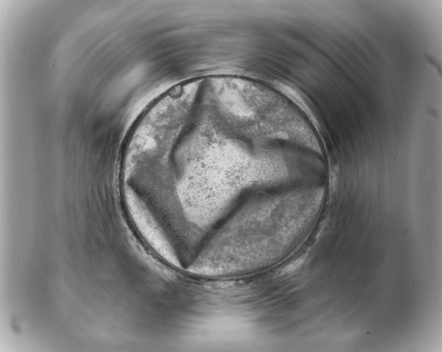 X0000102501149200808291706