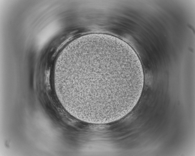 X0000102501150200808291706