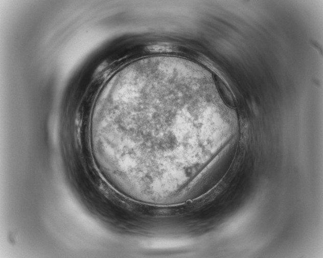 X0000102501151200808291706