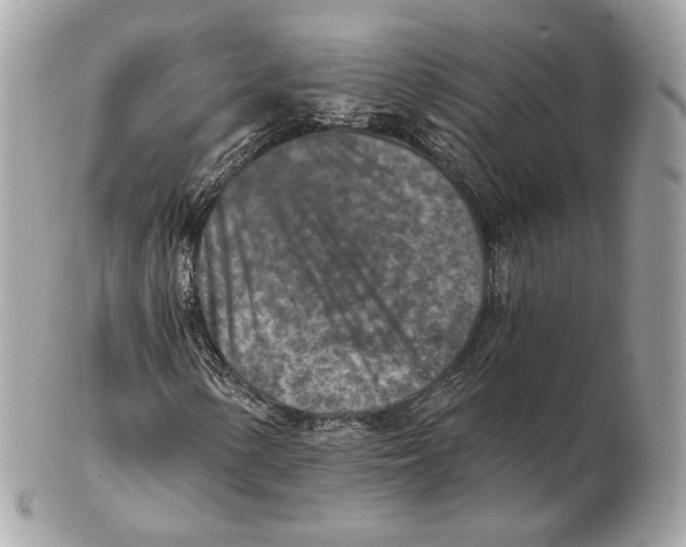 X0000102501154200808291705