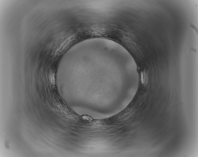 X0000102501155200808291705