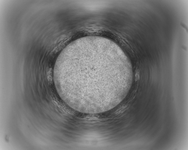 X0000102501156200808291705