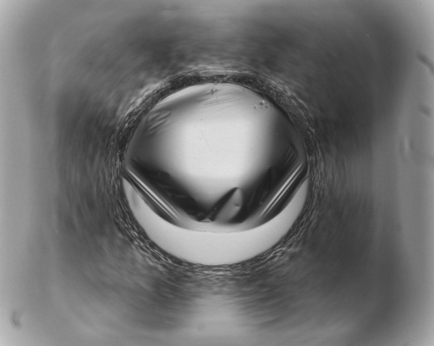 X0000102501157200808291705