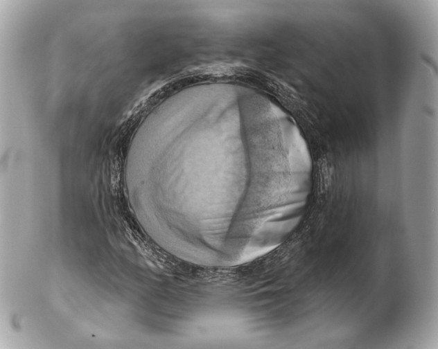 X0000102501158200808291705