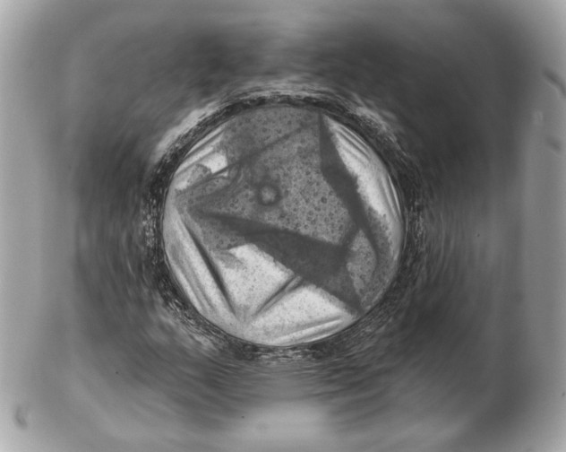 X0000102501159200808291705