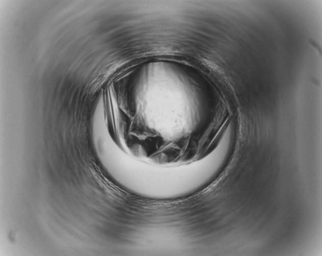 X0000102501161200808291705