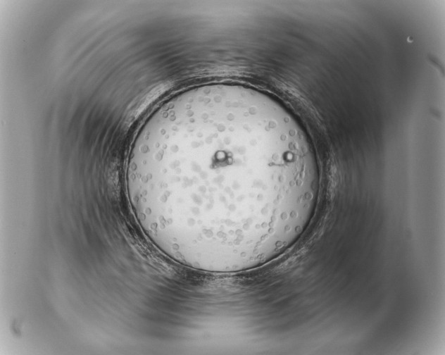 X0000102501162200808291705