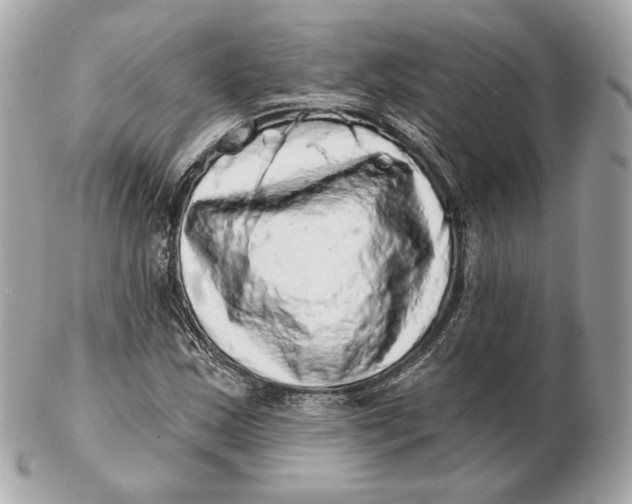 X0000102501163200808291705