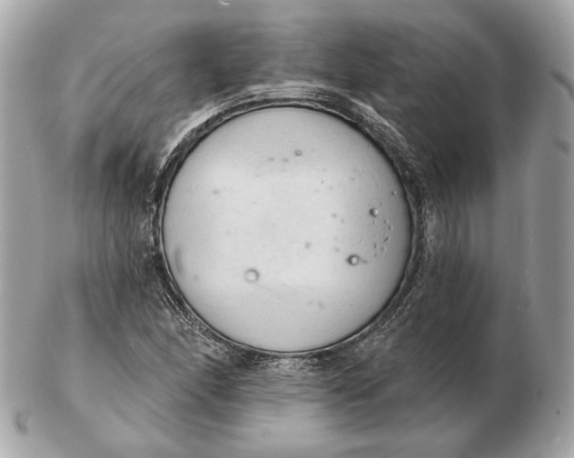 X0000102501166200808291705