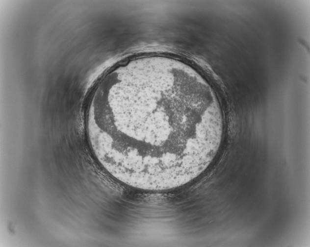 X0000102501167200808291705