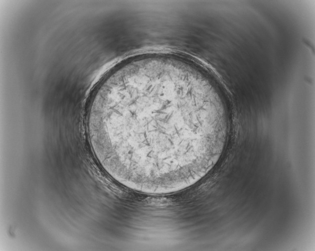 X0000102501168200808291705