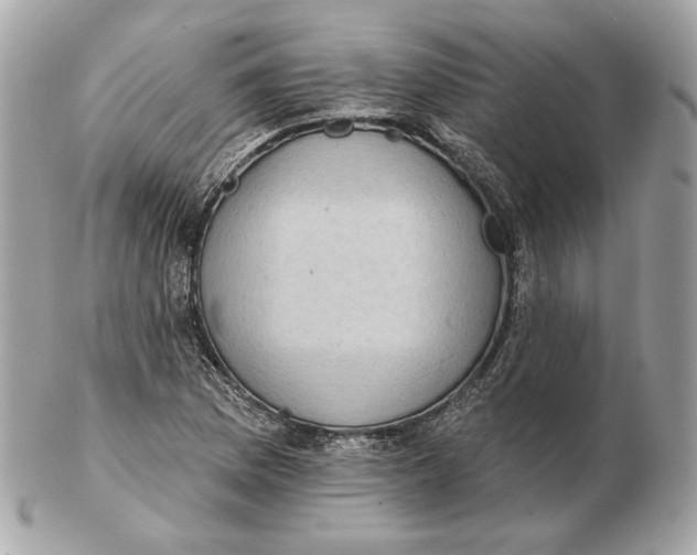 X0000102501169200808291705