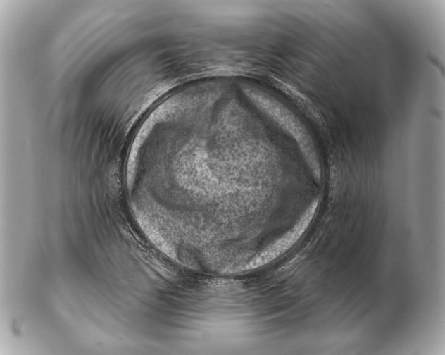 X0000102501170200808291705