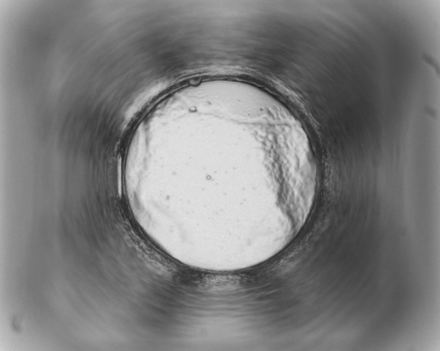 X0000102501171200808291705