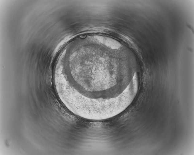 X0000102501172200808291705