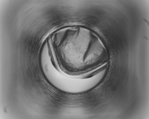 X0000102501173200808291705