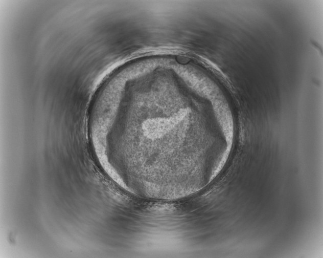 X0000102501174200808291705