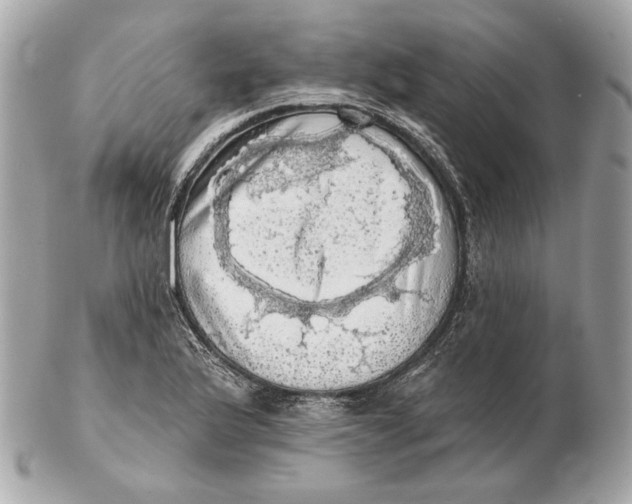 X0000102501175200808291705