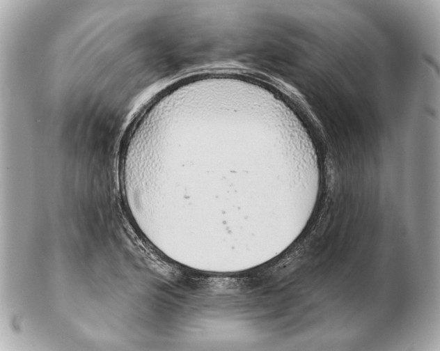 X0000102501176200808291705